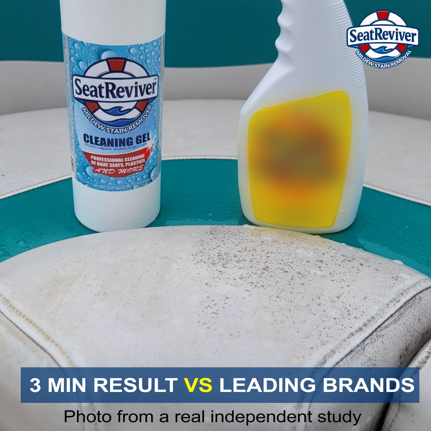 Mildew Stain Remover (Wholesale Case) - Dealer Promo Code Required